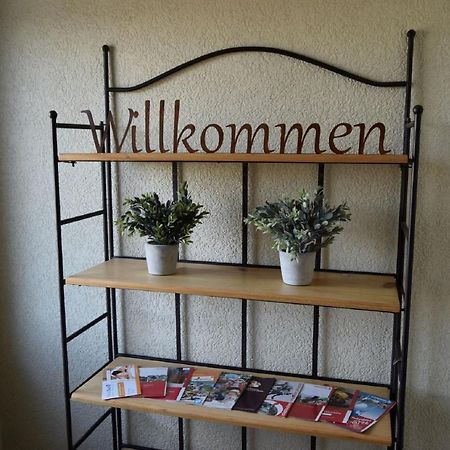 Ferienwohnung Blassneck 齐恩多夫 外观 照片